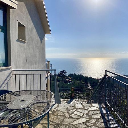Agriturismo L'Ulivo E Il Mare モネーリア エクステリア 写真