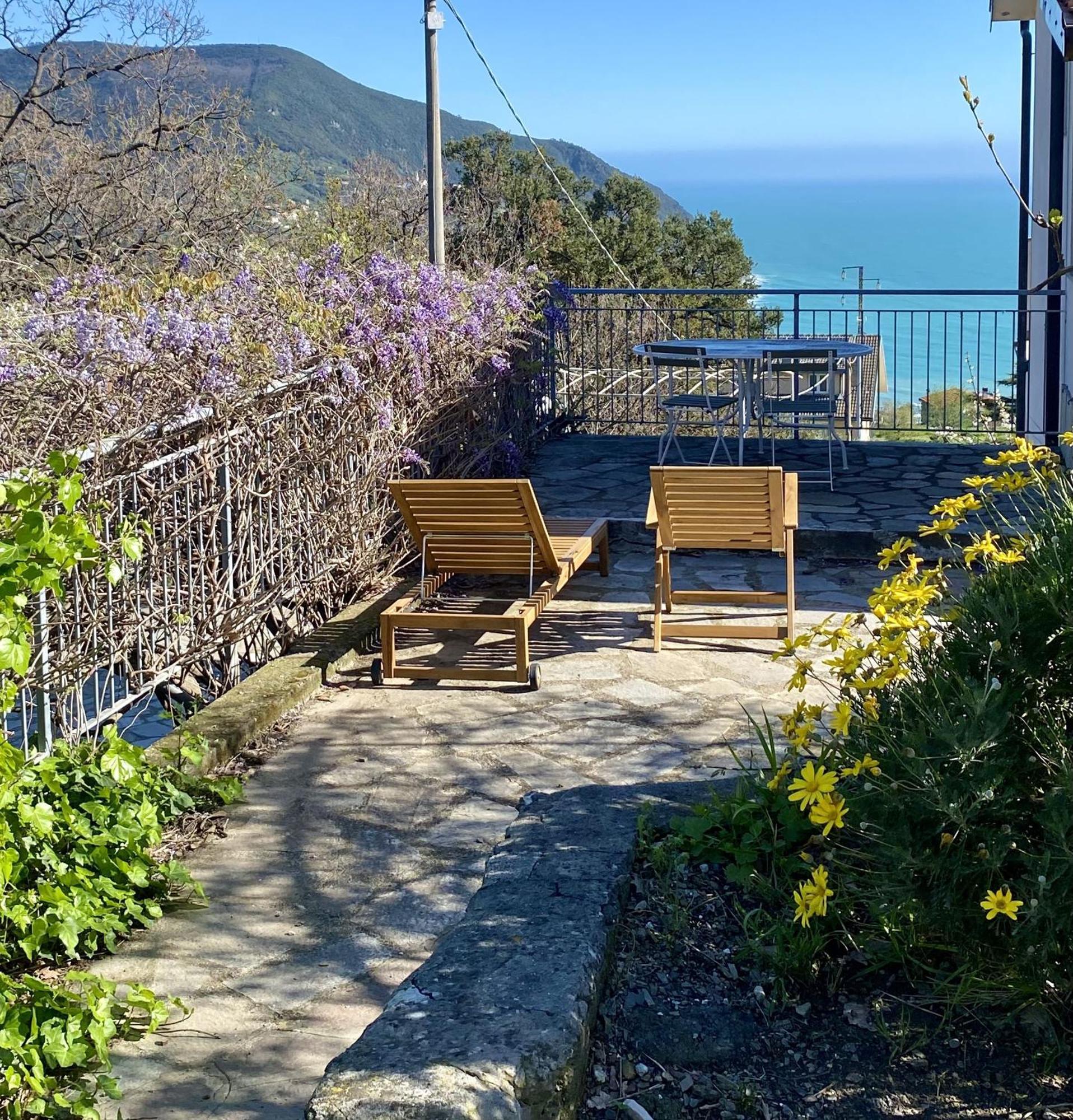 Agriturismo L'Ulivo E Il Mare モネーリア エクステリア 写真